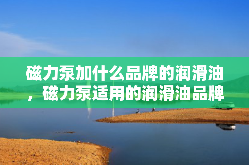 磁力泵加什么品牌的润滑油，磁力泵适用的润滑油品牌推荐
