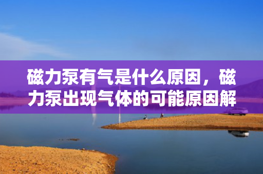 磁力泵有气是什么原因，磁力泵出现气体的可能原因解析