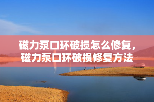 磁力泵口环破损怎么修复，磁力泵口环破损修复方法