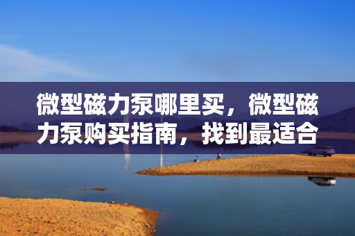 微型磁力泵哪里买，微型磁力泵购买指南，找到最适合你的购买渠道