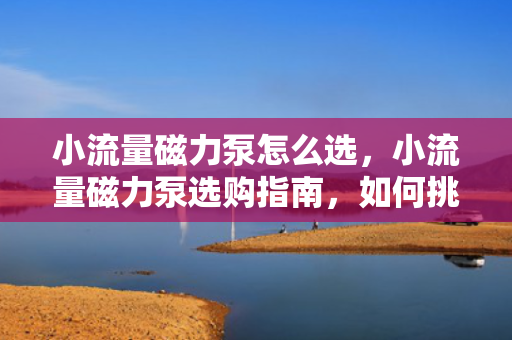 小流量磁力泵怎么选，小流量磁力泵选购指南，如何挑选适合的产品
