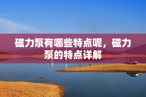 磁力泵有哪些特点呢，磁力泵的特点详解