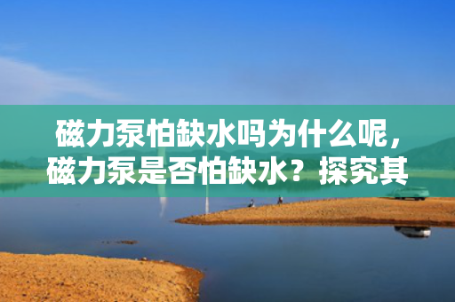 磁力泵怕缺水吗为什么呢，磁力泵是否怕缺水？探究其原因