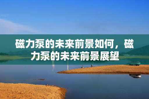 磁力泵的未来前景如何，磁力泵的未来前景展望