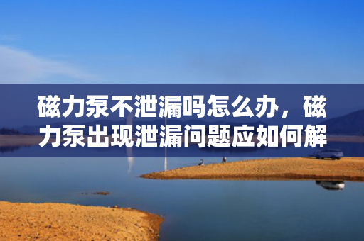 磁力泵不泄漏吗怎么办，磁力泵出现泄漏问题应如何解决？