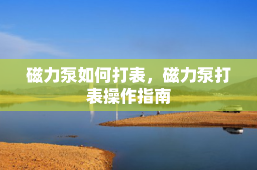 磁力泵如何打表，磁力泵打表操作指南
