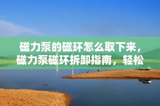 磁力泵的磁环怎么取下来，磁力泵磁环拆卸指南，轻松取下磁环的方法