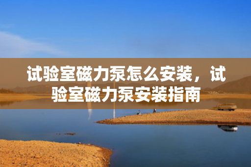 试验室磁力泵怎么安装，试验室磁力泵安装指南