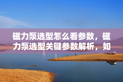 磁力泵选型怎么看参数，磁力泵选型关键参数解析，如何准确选择合适的磁力泵