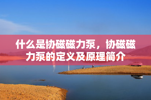 什么是协磁磁力泵，协磁磁力泵的定义及原理简介