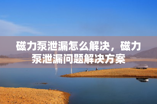 磁力泵泄漏怎么解决，磁力泵泄漏问题解决方案