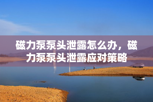 磁力泵泵头泄露怎么办，磁力泵泵头泄露应对策略