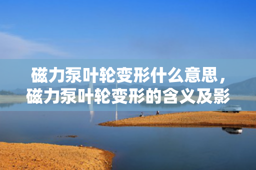 磁力泵叶轮变形什么意思，磁力泵叶轮变形的含义及影响解析
