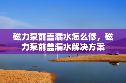 磁力泵前盖漏水怎么修，磁力泵前盖漏水解决方案