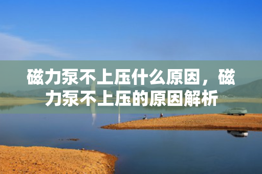 磁力泵不上压什么原因，磁力泵不上压的原因解析