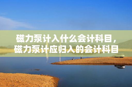 磁力泵计入什么会计科目，磁力泵计应归入的会计科目
