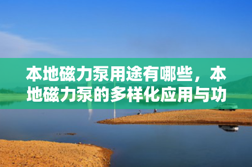 本地磁力泵用途有哪些，本地磁力泵的多样化应用与功能解析