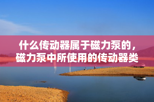 什么传动器属于磁力泵的，磁力泵中所使用的传动器类型