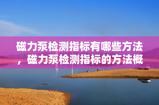 磁力泵检测指标有哪些方法，磁力泵检测指标的方法概述