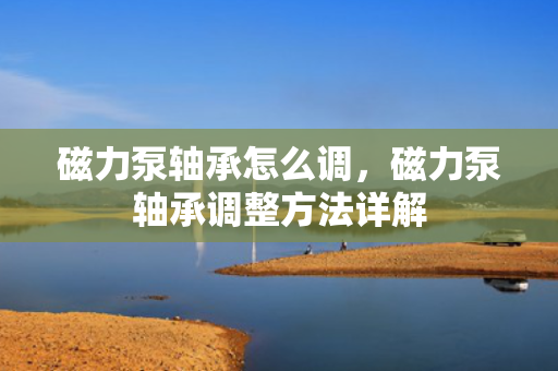 磁力泵轴承怎么调，磁力泵轴承调整方法详解