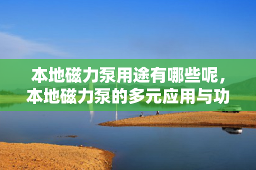 本地磁力泵用途有哪些呢，本地磁力泵的多元应用与功能解析