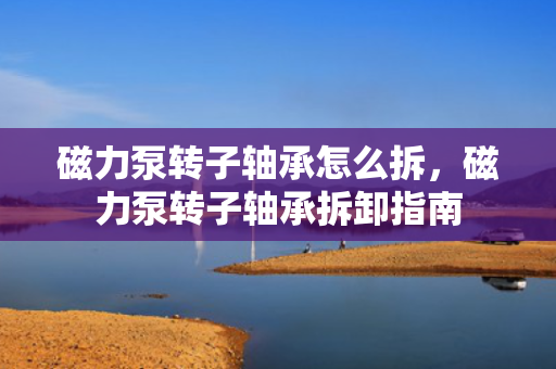 磁力泵转子轴承怎么拆，磁力泵转子轴承拆卸指南
