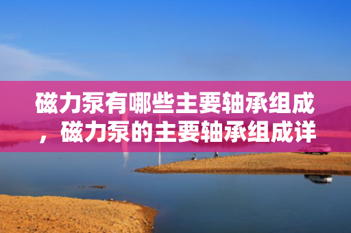 磁力泵有哪些主要轴承组成，磁力泵的主要轴承组成详解