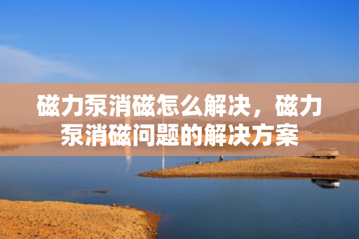 磁力泵消磁怎么解决，磁力泵消磁问题的解决方案