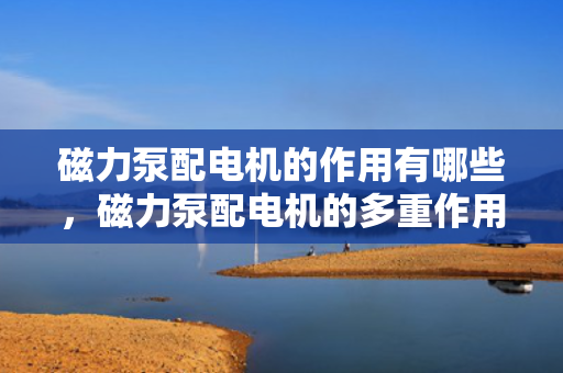 磁力泵配电机的作用有哪些，磁力泵配电机的多重作用解析