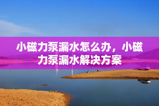 小磁力泵漏水怎么办，小磁力泵漏水解决方案