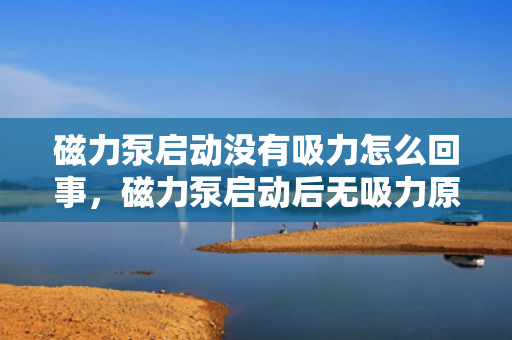 磁力泵启动没有吸力怎么回事，磁力泵启动后无吸力原因解析