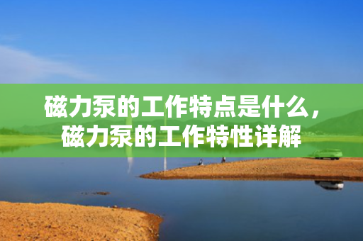 磁力泵的工作特点是什么，磁力泵的工作特性详解