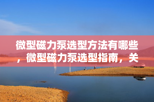 微型磁力泵选型方法有哪些，微型磁力泵选型指南，关键方法与步骤
