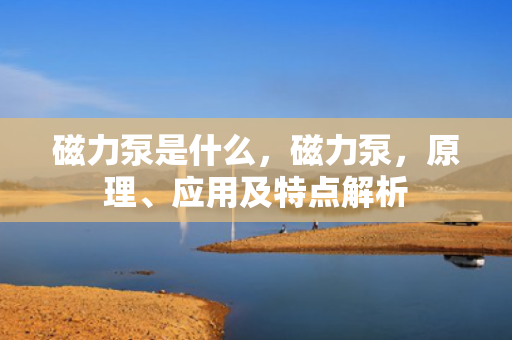 磁力泵是什么，磁力泵，原理、应用及特点解析