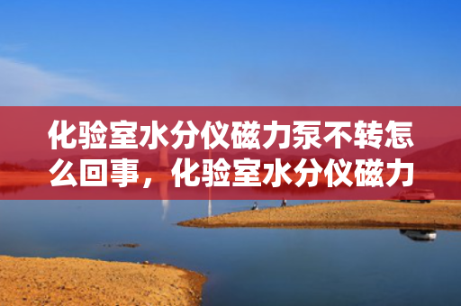 化验室水分仪磁力泵不转怎么回事，化验室水分仪磁力泵停转原因及解决方法