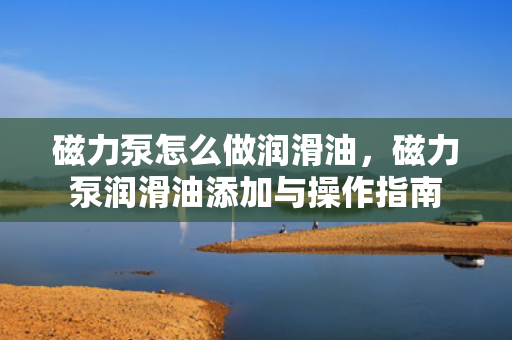 磁力泵怎么做润滑油，磁力泵润滑油添加与操作指南