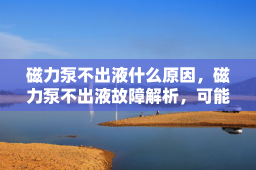 磁力泵不出液什么原因，磁力泵不出液故障解析，可能的原因与解决方案