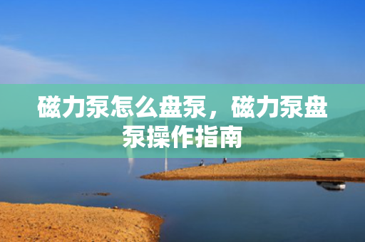 磁力泵怎么盘泵，磁力泵盘泵操作指南
