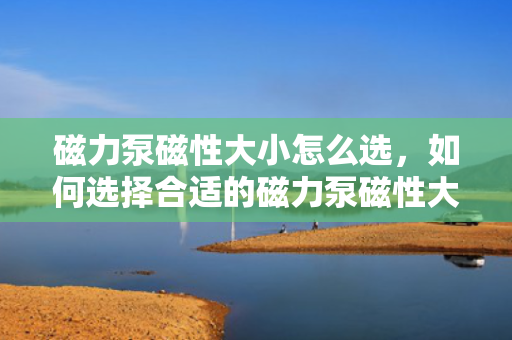 磁力泵磁性大小怎么选，如何选择合适的磁力泵磁性大?。? title=