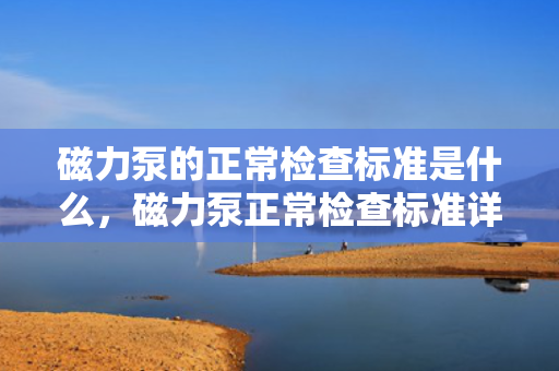 磁力泵的正常检查标准是什么，磁力泵正常检查标准详解