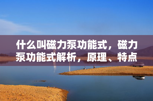 什么叫磁力泵功能式，磁力泵功能式解析，原理、特点及应用概述