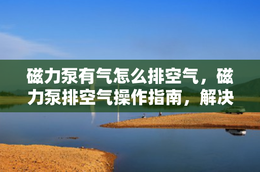 磁力泵有气怎么排空气，磁力泵排空气操作指南，解决磁力泵内积气问题