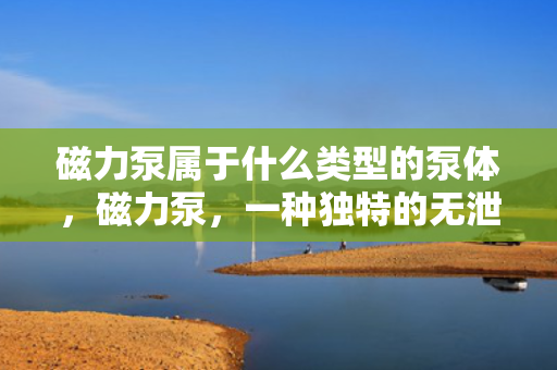 磁力泵属于什么类型的泵体，磁力泵，一种独特的无泄漏泵体类型
