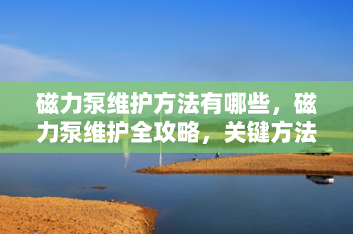 磁力泵维护方法有哪些，磁力泵维护全攻略，关键方法与步骤