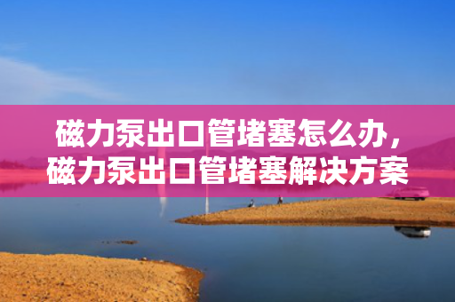 磁力泵出口管堵塞怎么办，磁力泵出口管堵塞解决方案
