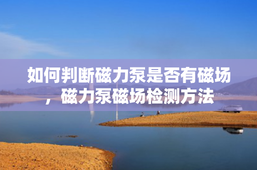 如何判断磁力泵是否有磁场，磁力泵磁场检测方法