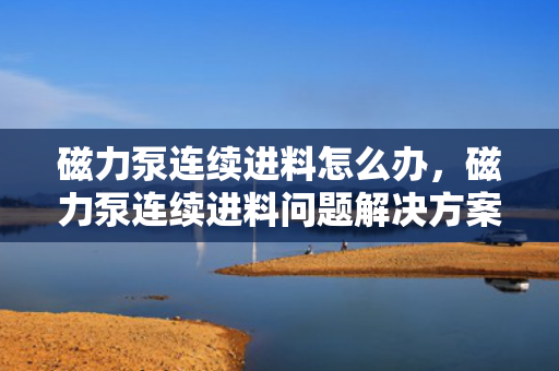 磁力泵连续进料怎么办，磁力泵连续进料问题解决方案