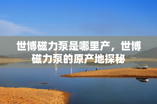 世博磁力泵是哪里产，世博磁力泵的原产地探秘