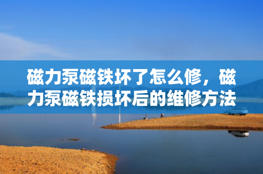 磁力泵磁铁坏了怎么修，磁力泵磁铁损坏后的维修方法