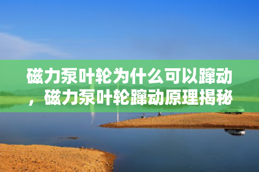 磁力泵叶轮为什么可以蹿动，磁力泵叶轮蹿动原理揭秘